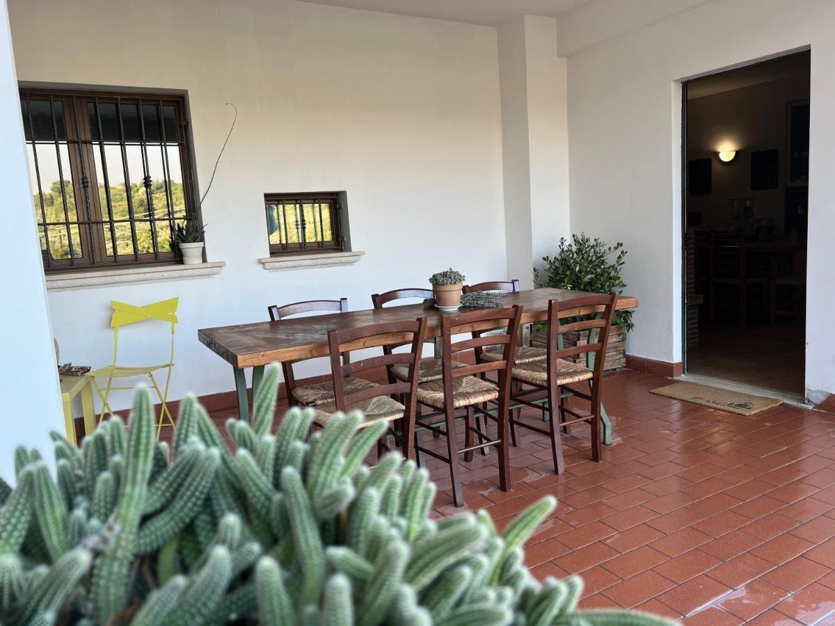 La Casa Di Demetra. Un Paradiso Tra Gli Olivi. Montecchio (Terni) Exterior foto