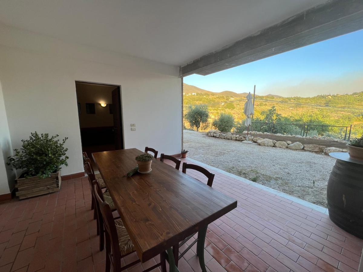 La Casa Di Demetra. Un Paradiso Tra Gli Olivi. Montecchio (Terni) Exterior foto