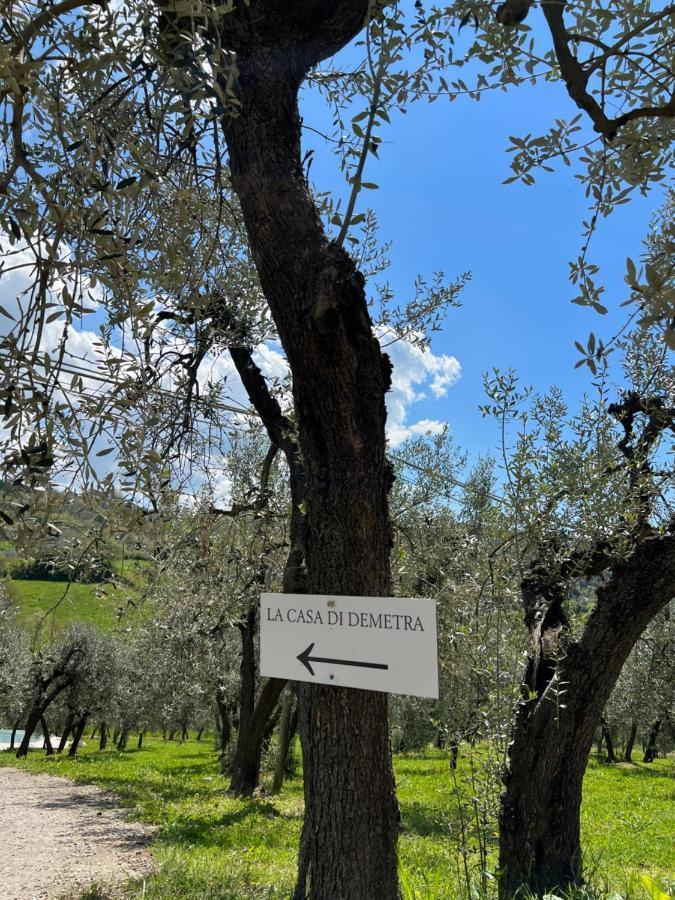 La Casa Di Demetra. Un Paradiso Tra Gli Olivi. Montecchio (Terni) Exterior foto